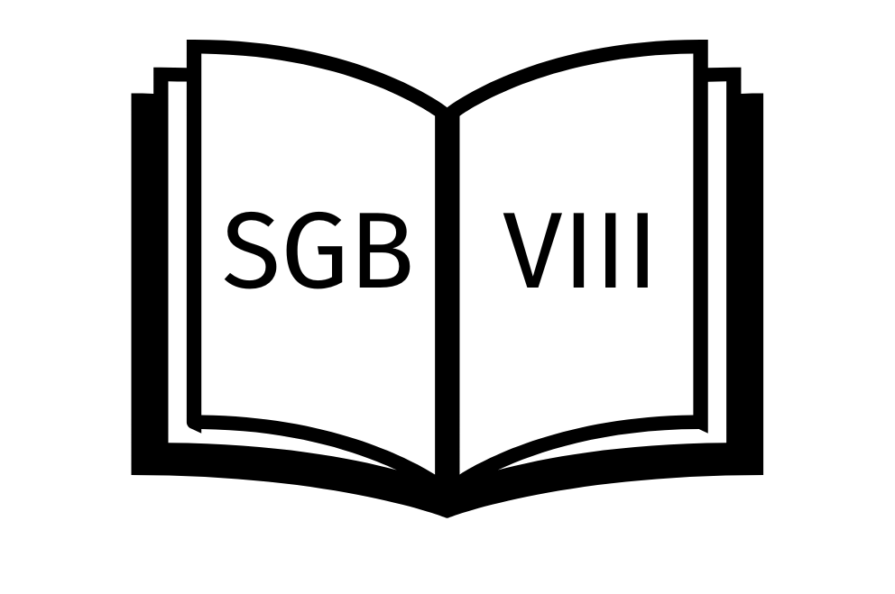 Aufgeschlagenes Buch mit Schrift SGB VIII